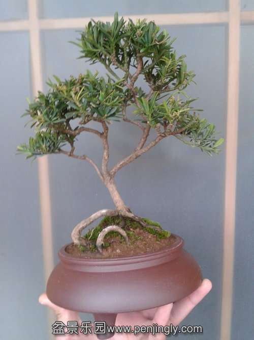 2014-02-12 14.38.08.jpg