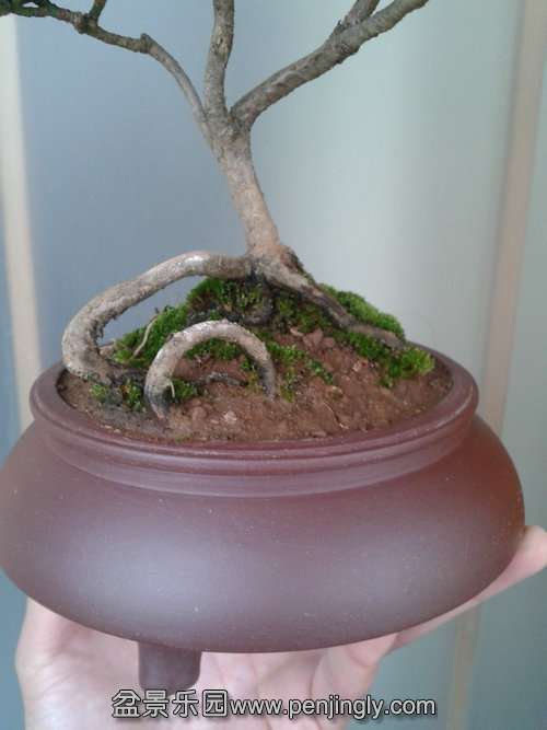 2014-02-12 14.38.43.jpg