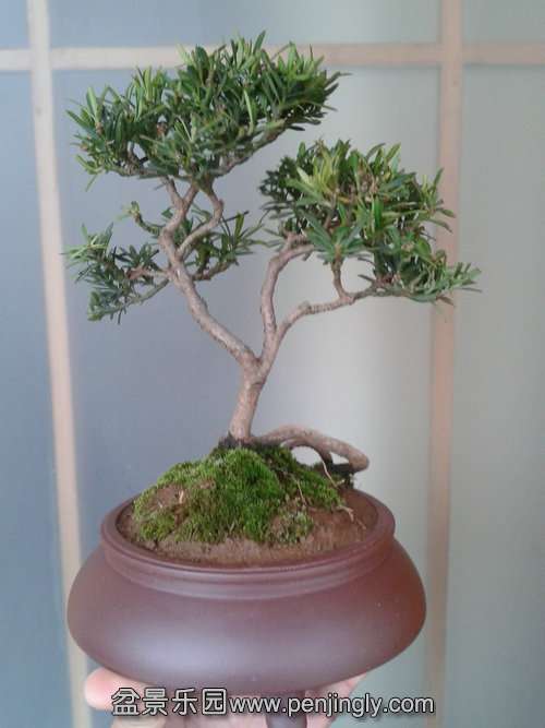 2014-02-12 14.39.19.jpg