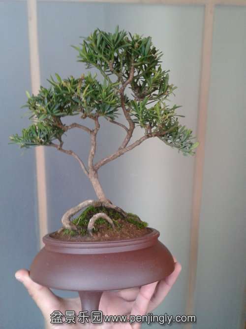 2014-02-12 14.39.46.jpg