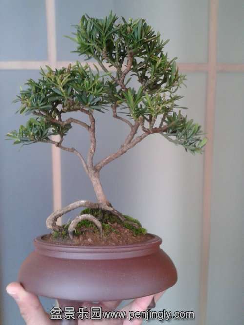 2014-02-12 14.40.33.jpg