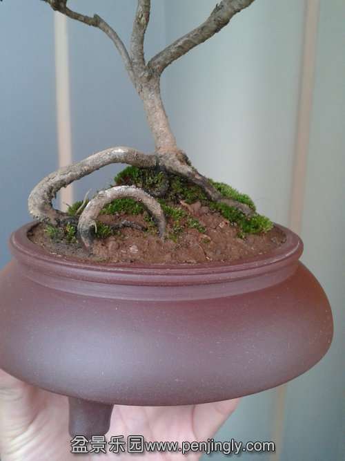 2014-02-12 14.40.54.jpg