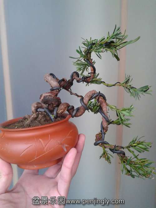 2014-02-12 14.45.04.jpg