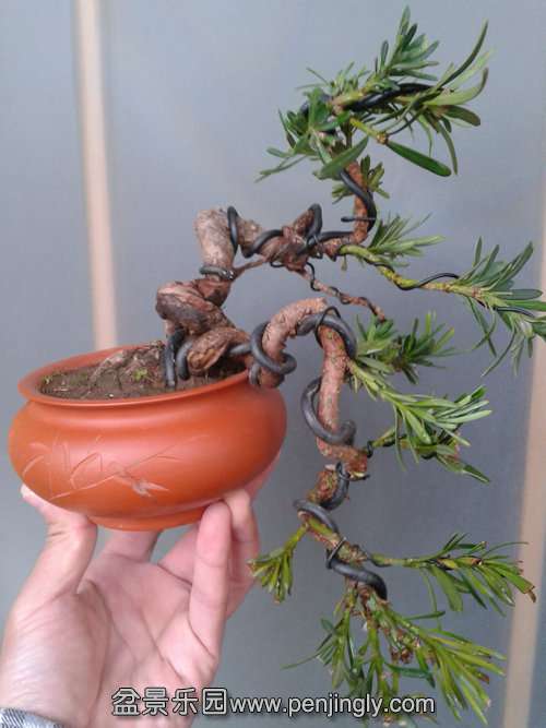 2014-02-12 14.45.58.jpg