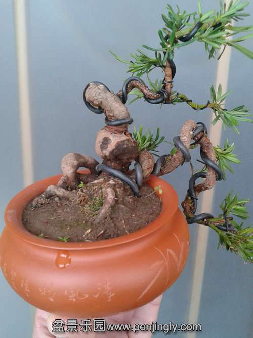 2014-02-12 14.46.22.jpg