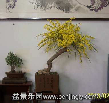 101_0812_.JPG