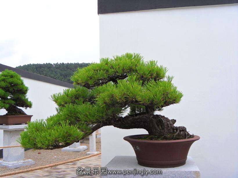SDC12958.JPG