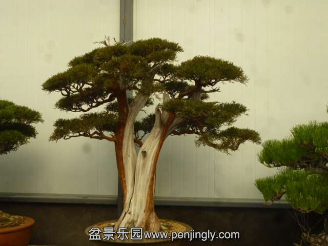 P1030647.JPG