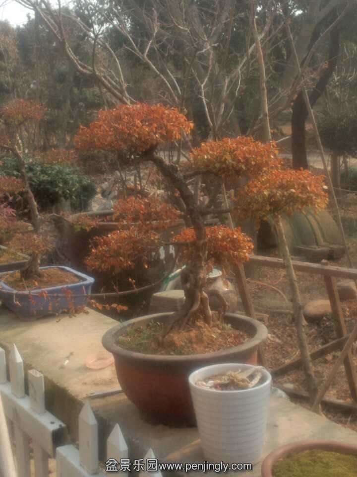 QQͼƬ20140213161442.jpg