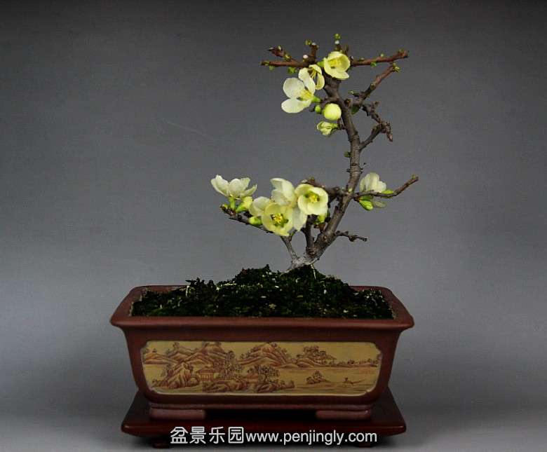 IMG_6166_conew114곤÷.jpg