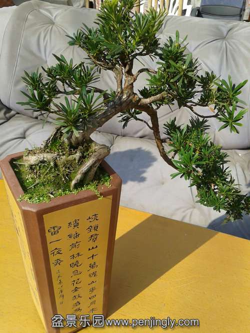 2014-02-14 13.46.19.jpg