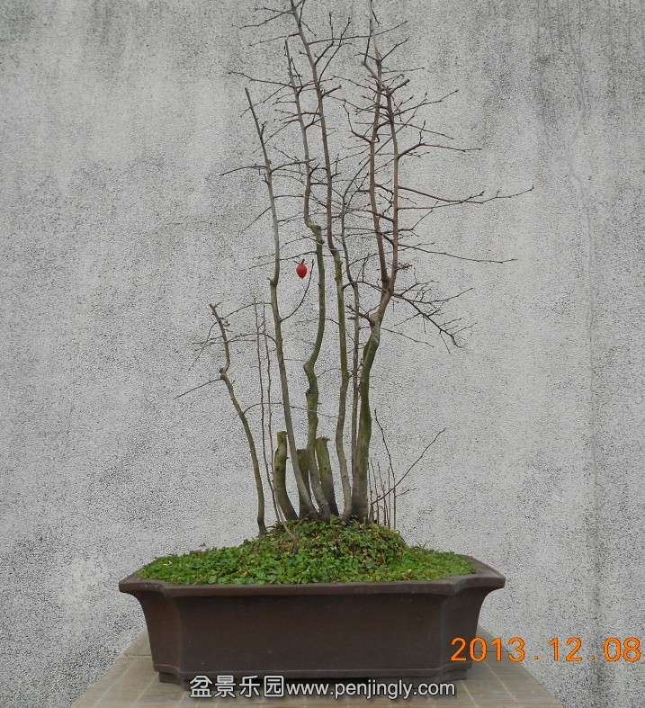 03Ѫѻ[2].jpg