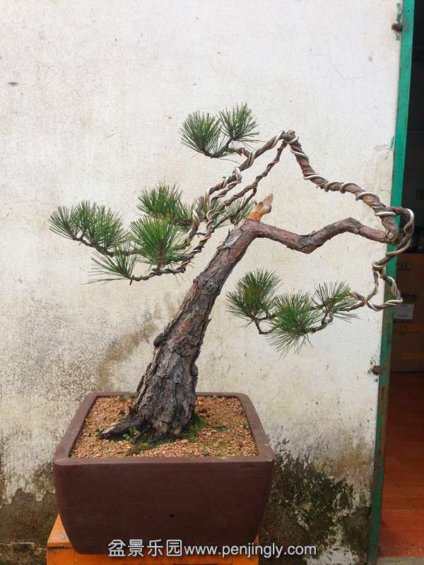 Ƭ 008_.jpg