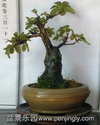 201402152099.jpg
