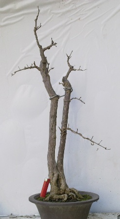 201402152098.jpg