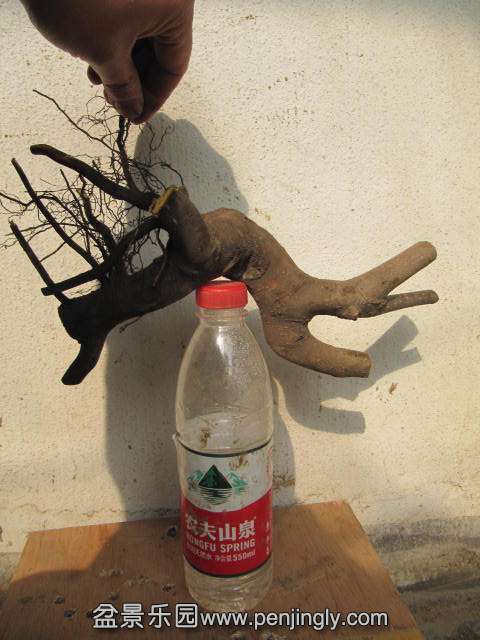 IMG_3786Ұ80Ԫ.JPG