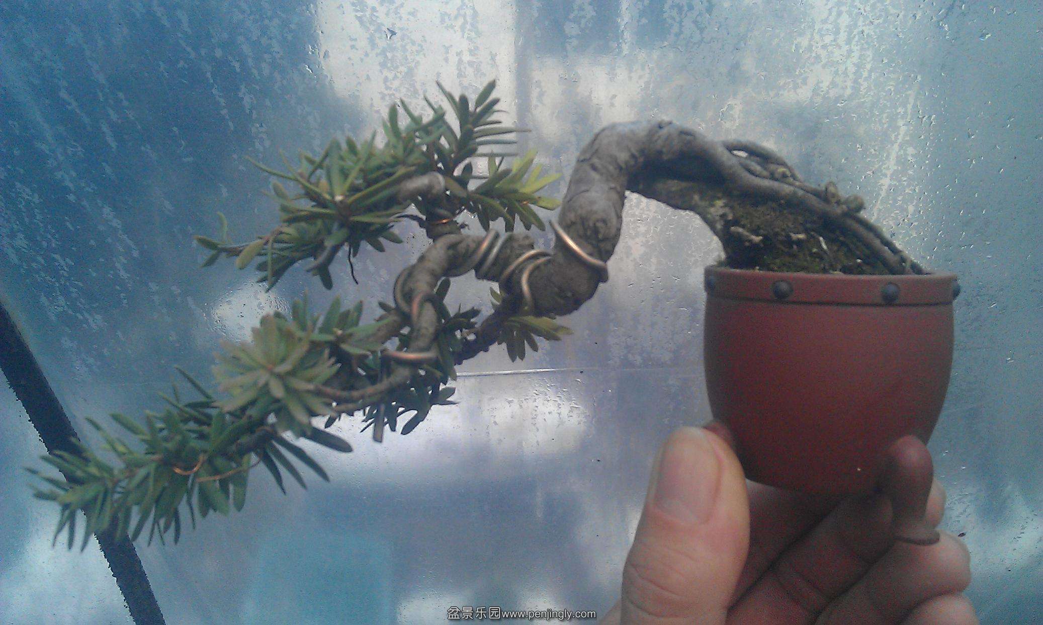 IMAG0919.jpg