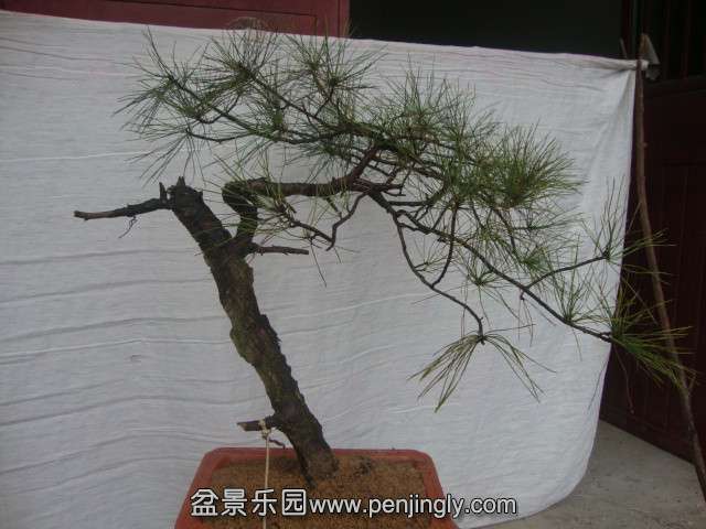 DSC02080_.jpg