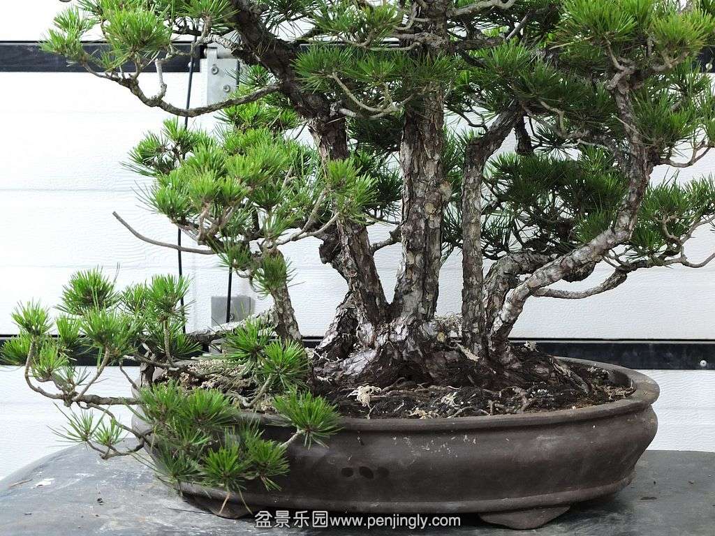 һ�����ֺ��� (2).jpg