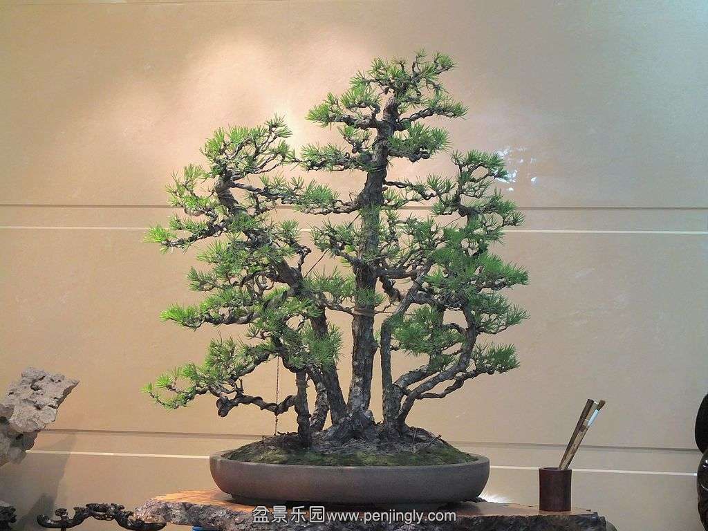 һ�����ֺ��� (3).jpg