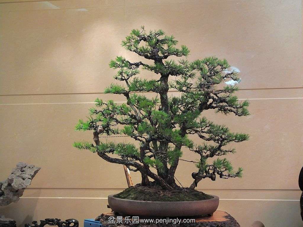 һ�����ֺ��� (4).jpg