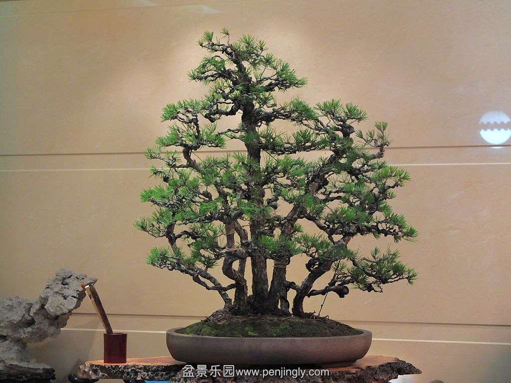 һ�����ֺ��� (5).jpg