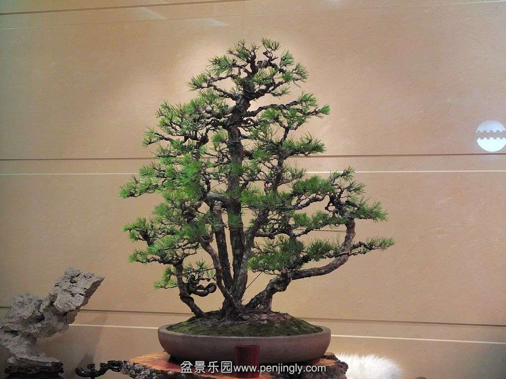 һ�����ֺ��� (6).jpg