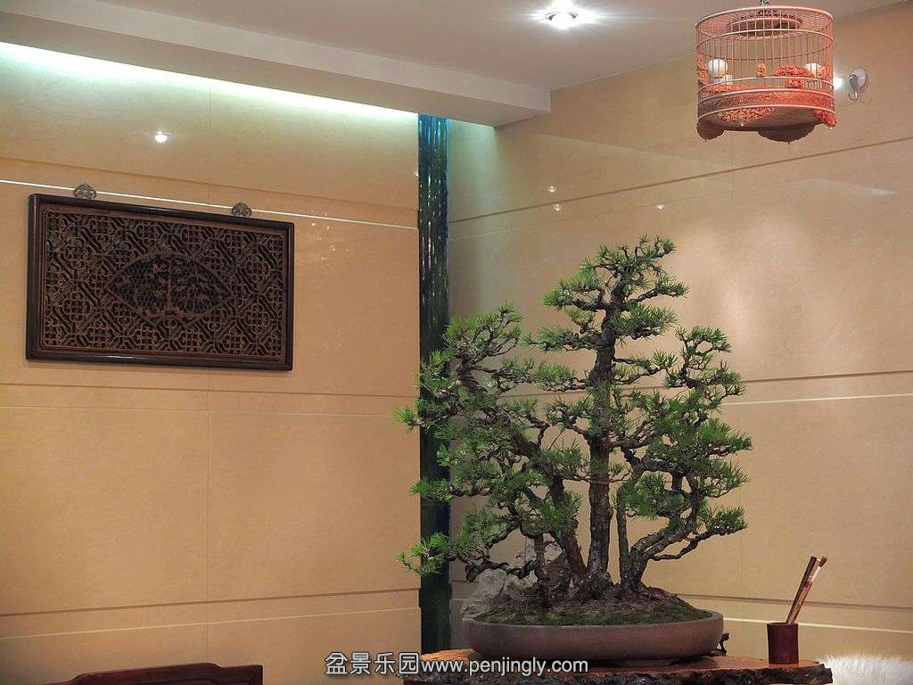 һ�����ֺ��� (7).jpg