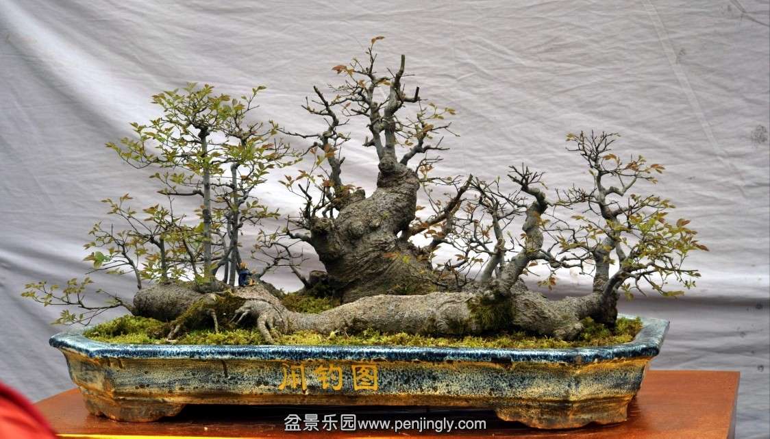 QQͼƬ20140216232728.jpg