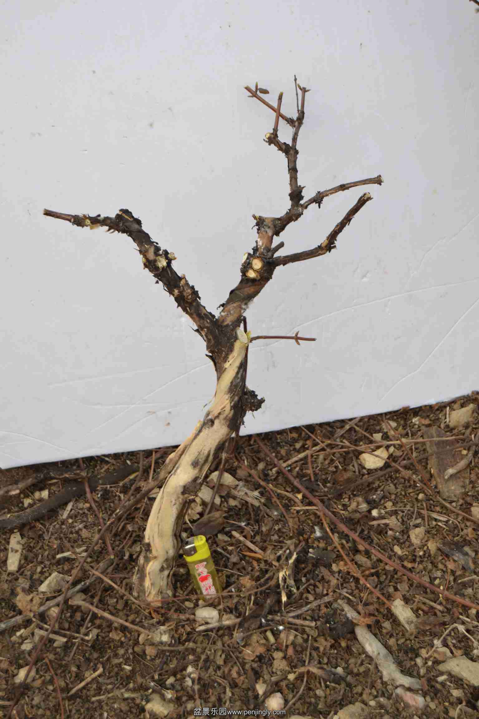 2014-02-13 075.jpg