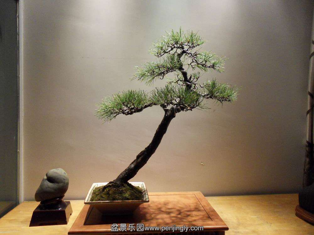 SDC11128.JPG