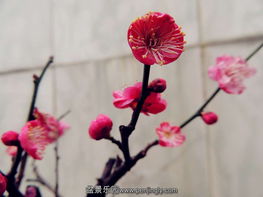 DSCN3741_.jpg