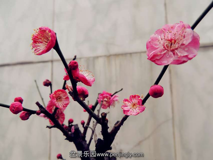 DSCN3744_.jpg