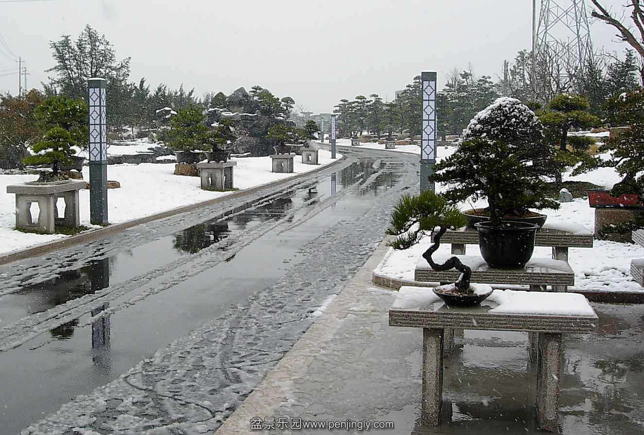 DSCN9989_conew1.jpg