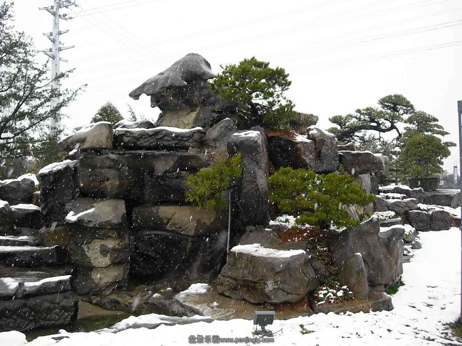 DSCN9991_conew1.jpg
