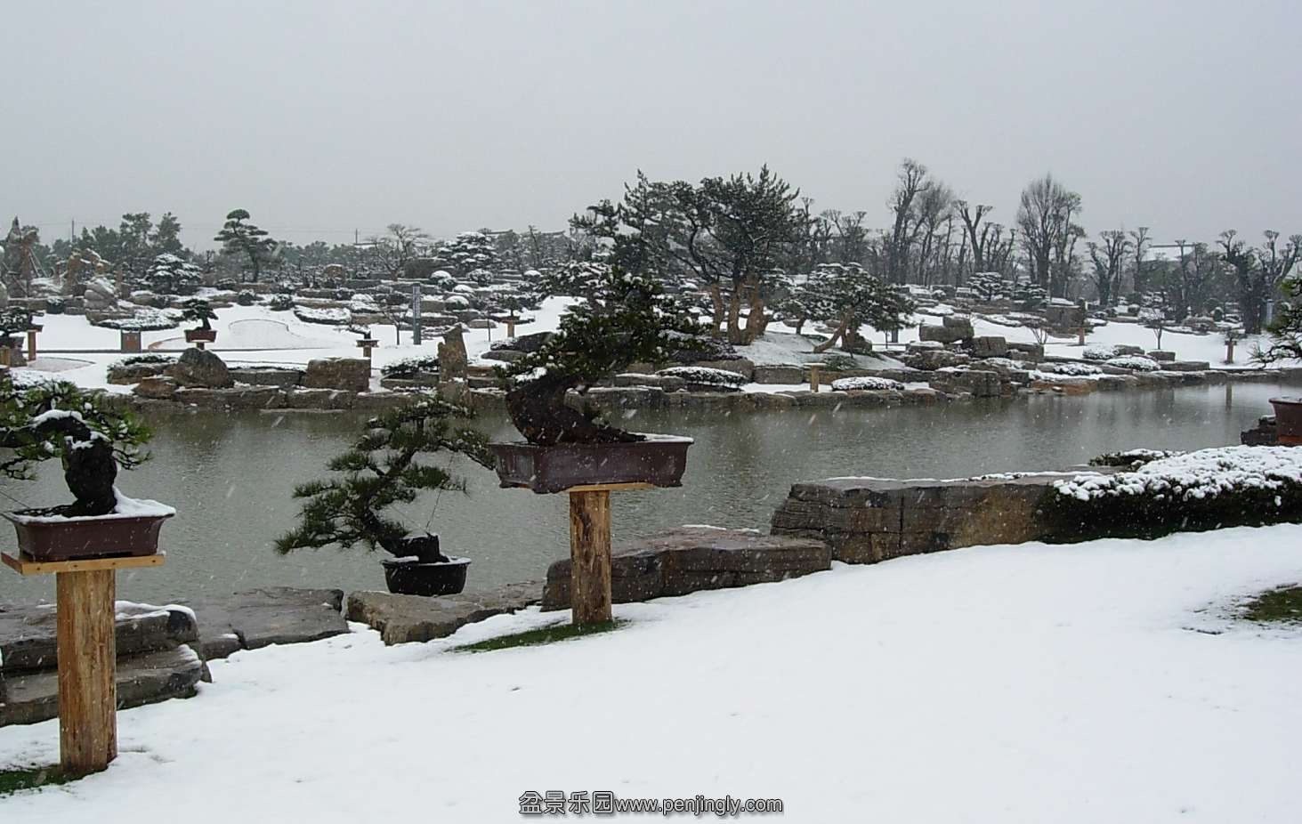 DSCN9995_conew1.jpg