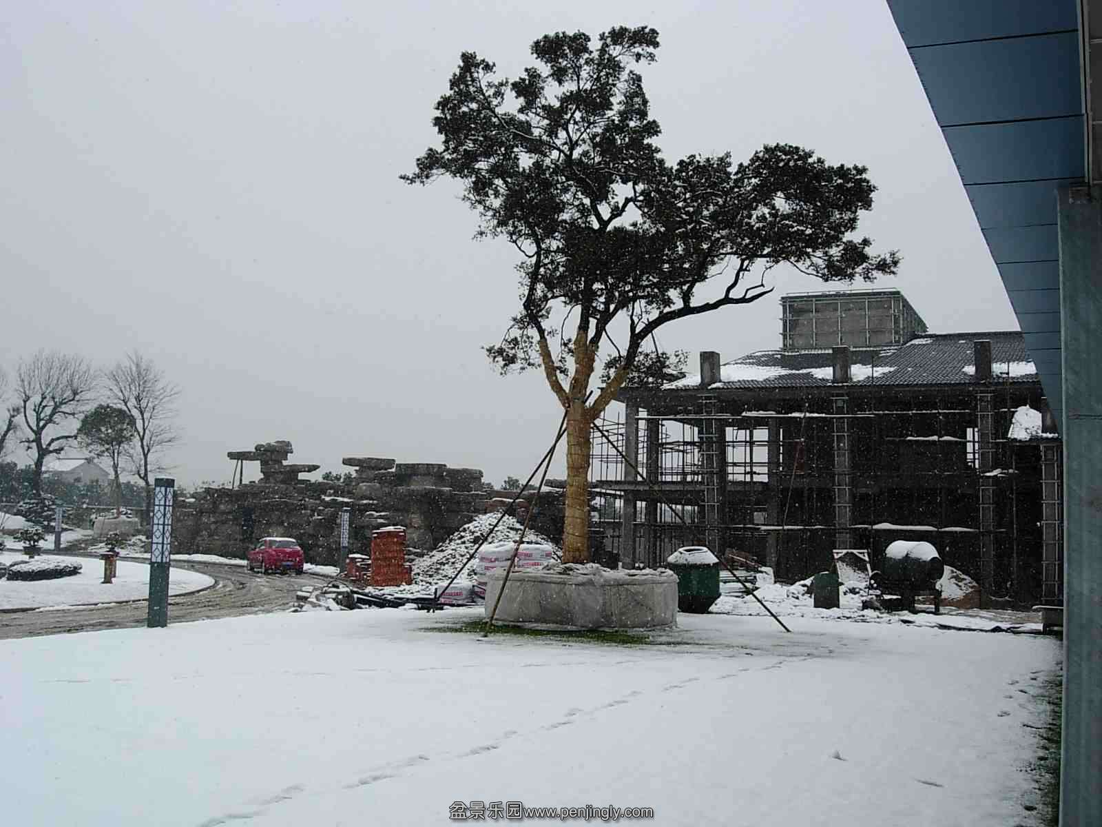 DSCN9999_conew2.jpg