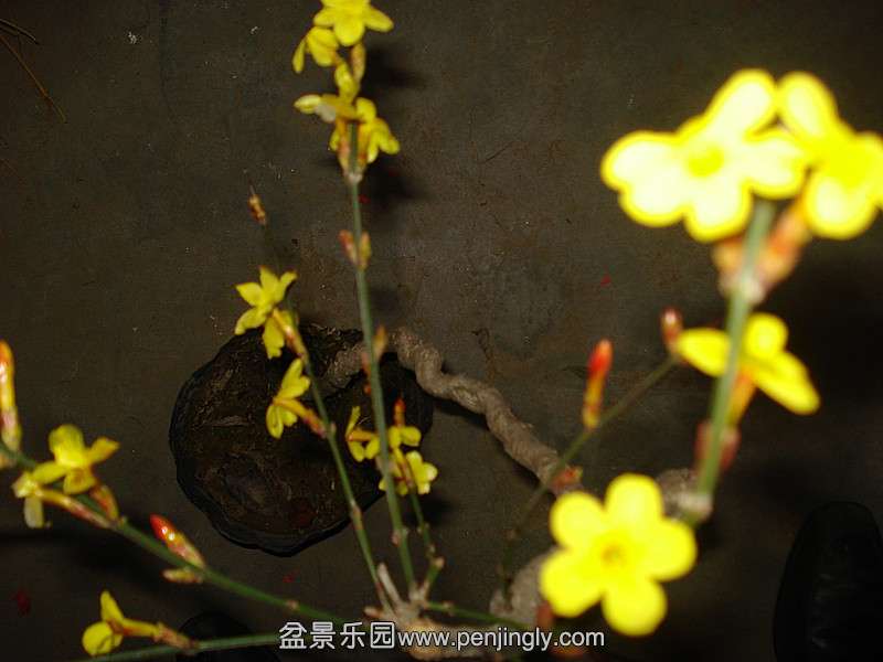DSC07470_.jpg