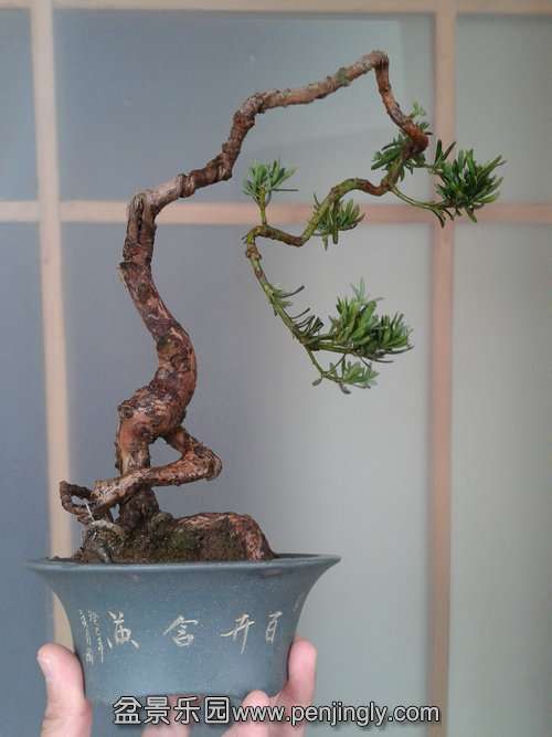 2014-02-19 13.35.37.jpg