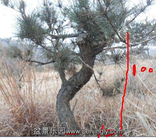 QQͼƬ20140222102654.jpg