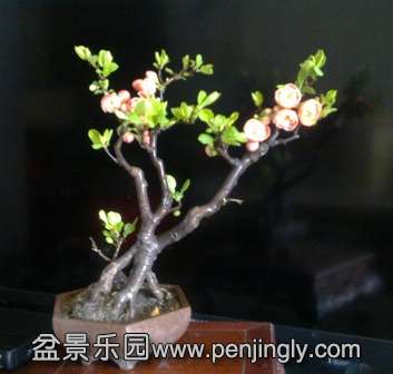 201402222149.jpg