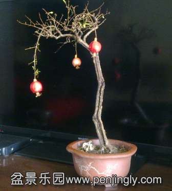 201402222150.jpg