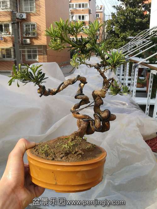 2014-02-22 15.13.54.jpg