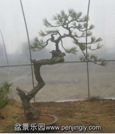 QQͼƬ20140223203600.jpg