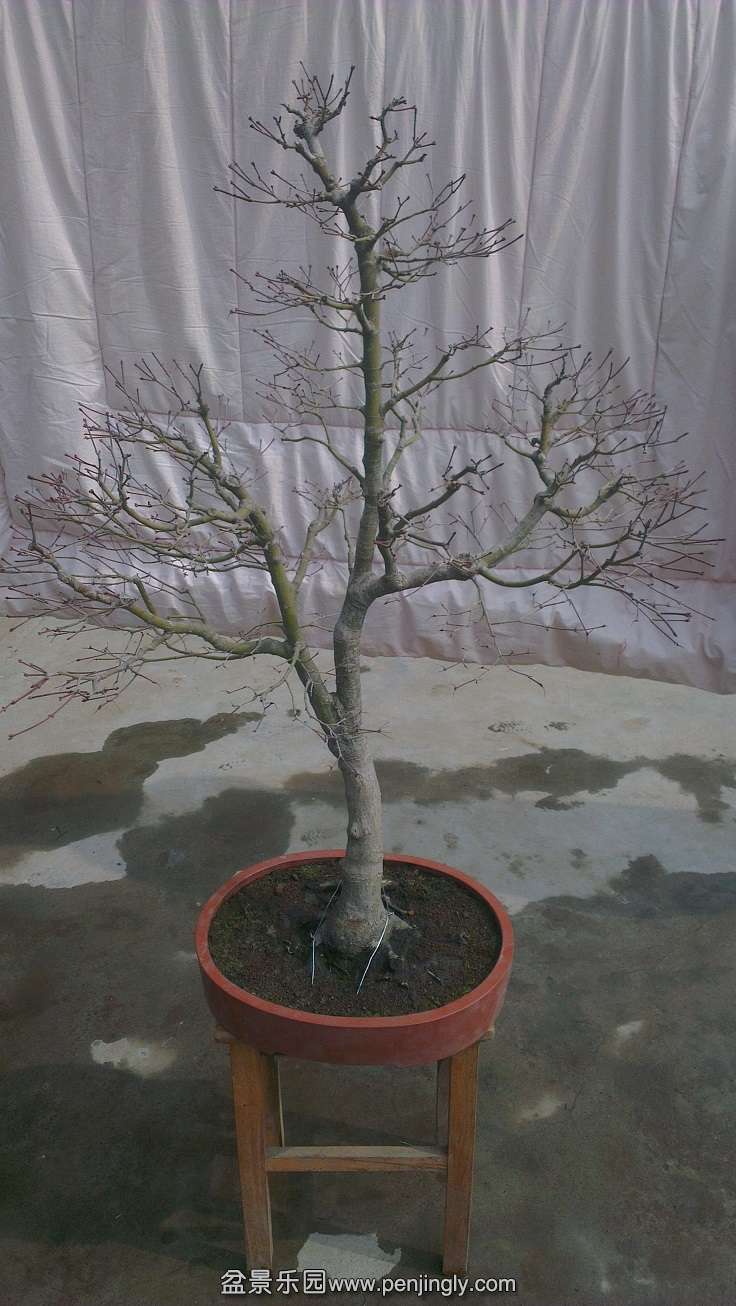 IMAG0176.jpg