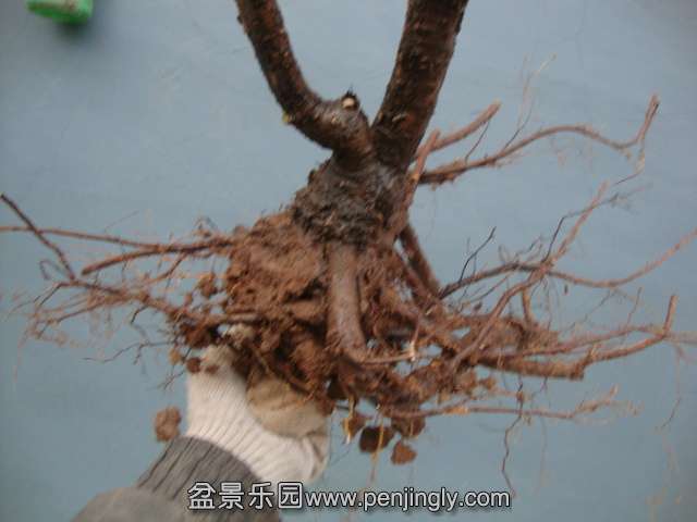 DSC03073.JPG