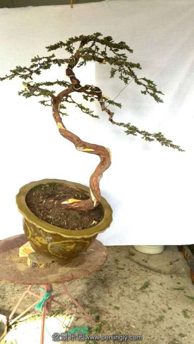 ̰