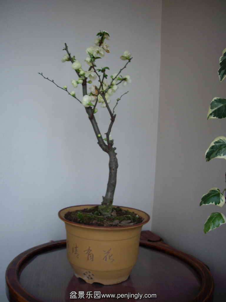 -201202.jpg