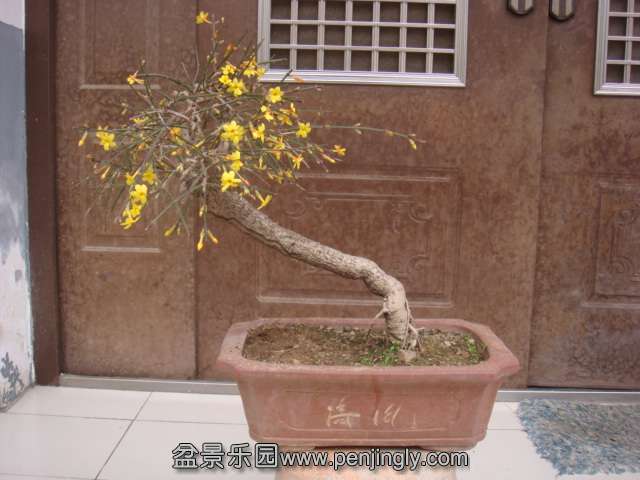 DSC09223.JPG