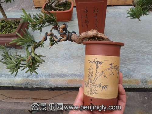 2014-02-24 14.18.39.jpg